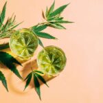 From Buds to Drinks: Understanding the Appeal THC-Infused Drinks