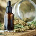CBD for Nausea What Research Currently Suggests