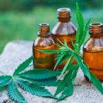 The Evolution of CBD From Wellness Trend to Everyday Lifestyle
